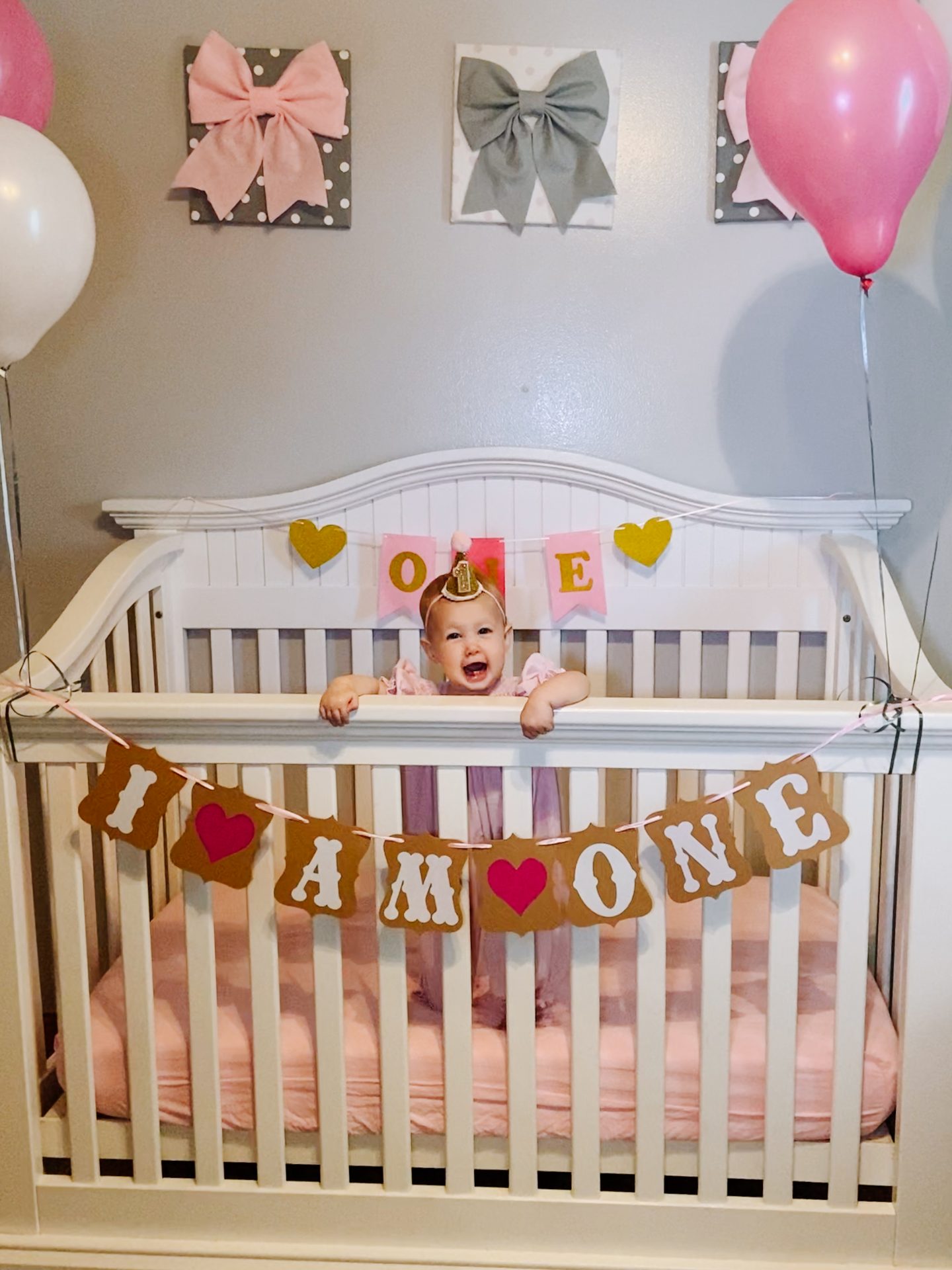 DIY 1st Birthday Crib Photoshoot