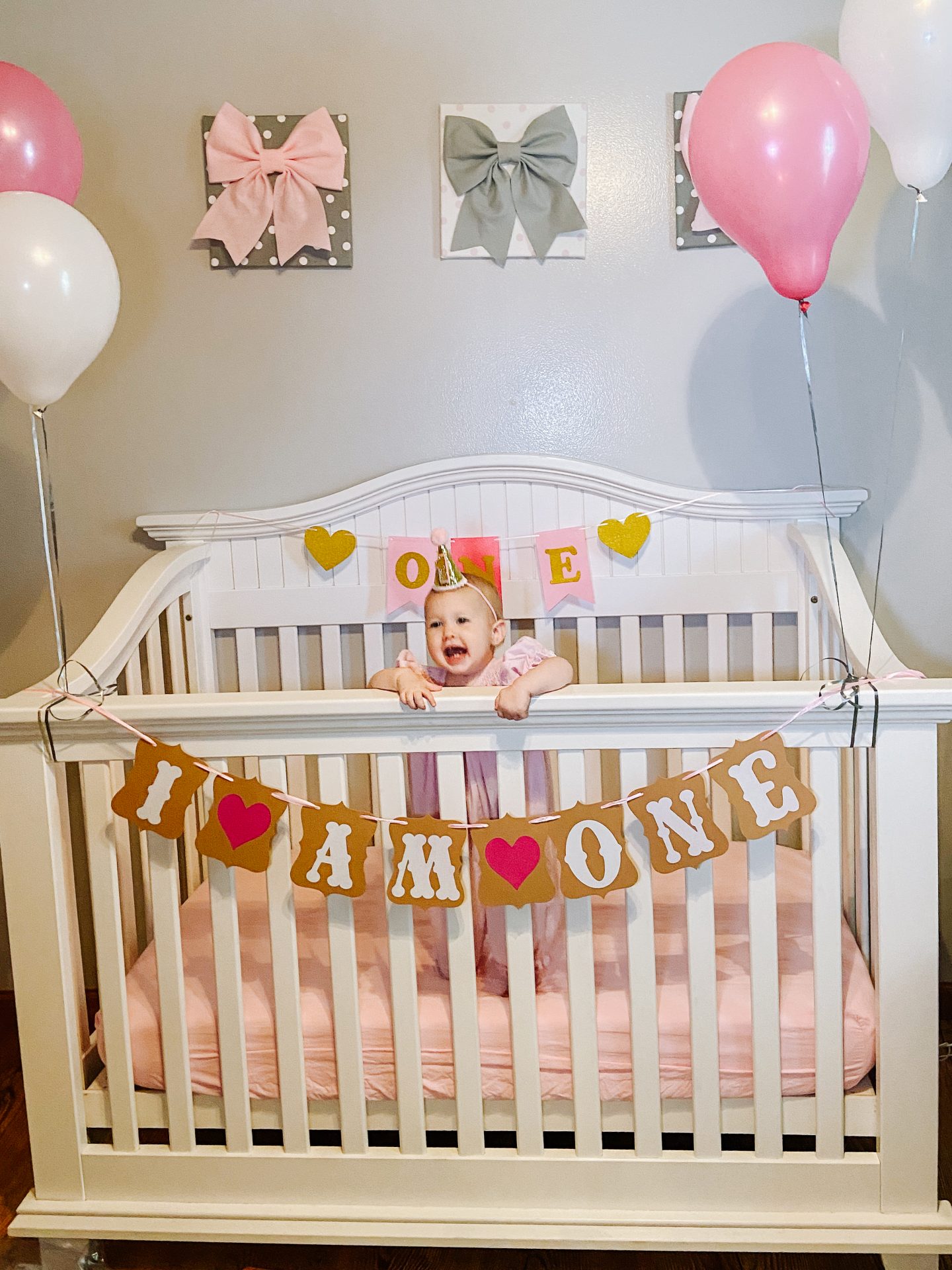DIY 1st Birthday Crib Photoshoot