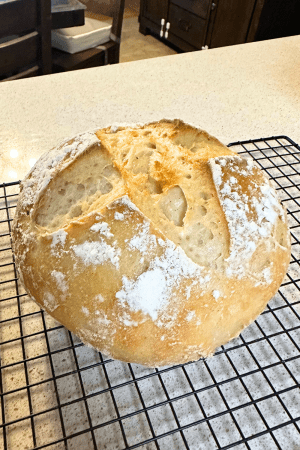 Easy Gluten-Free Sourdough Bread