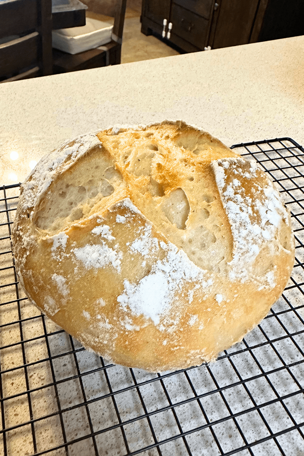 Easy Gluten-Free Sourdough Bread