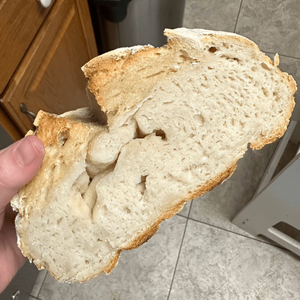 Gluten Free Sourdough Bread