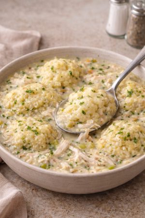 Comforting chicken and dumplings bowl