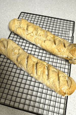 Gluten-Free Sourdough French Baguettes
