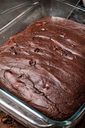 Pumpkin spice chocolate brownie close-up