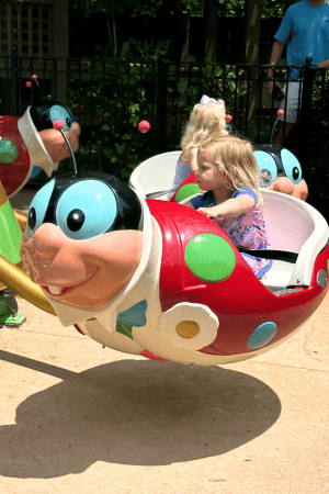 Toddler Silver Dollar City