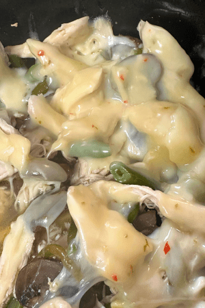 Crockpot Veggie and Pepper Jack Chicken